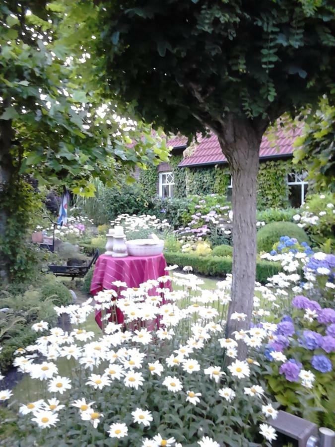 Ferienhaus Zaunkoenig Eversmeer Екстер'єр фото